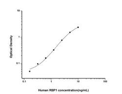 Novus Biologicals™ Human Retinol Binding Protein RBP ELISA Kit (Colorimetric)